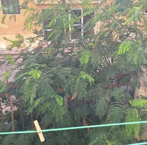 Hostel Sweet - للأجانب فقط Hurgada